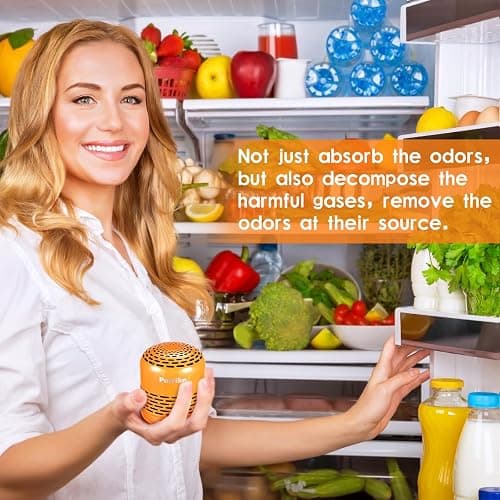 Purriko Refrigerator Deodorizer, Long-Lasting Fridge Odor Eliminator | Replaces Baking Soda and Activated Carbon, Reusable Fridge Deodorizer, Orange thumbnail 2