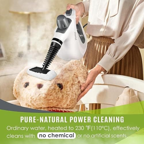 Pressurized Handheld Multi-Surface Natural Steam Cleaner with 12 pcs Accessories, Multi-Purpose Steamer for Home Use, Steamer for Cleaning Floor, Upholstery, Grout and Car (Grey) thumbnail 3