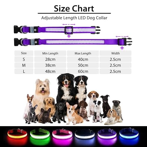 PcEoTllar Light Up Dog Collars, LED Dog Collar Rechargeable Purple Lighted Dog Collar Waterproof Dog Lights for Night Walking RGB Colorful Flashing Dog Collar for Small Medium Large Dogs-Purple-M thumbnail 6