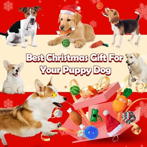JXVICT Dog Advent Calendar 2025, 24 Days Dog Pet Toy Christmas Countdown Calendar with Chew Ropes Toys Squeaky Balls Teething Christmas Doys Toys for Xmas Small Large Dogs Puppy thumbnail 7