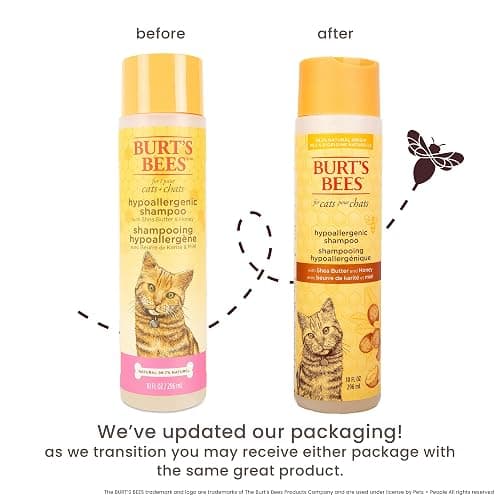 Burt's Bees for Pets Hypoallergenic Cat Shampoo with Shea Butter and Honey, Gentle Formula for Indoor Cats with Dry or Sensitive Skin, pH Balanced, Fragrance-Free, 10 Fl Oz thumbnail 2