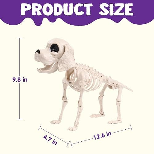 JOYIN Posable Halloween Dog Skeleton Full Body Posable Joints Realistic Skeleton Puppy with Movable Joints for Halloween Decoration, Graveyard Party Decor (9.8” X 4.7” X 12.6”) thumbnail 3