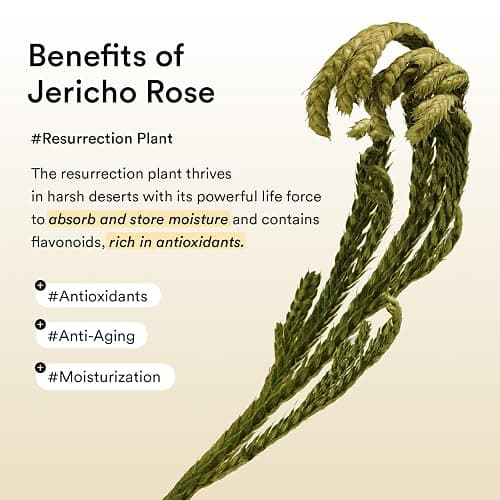 Abib Collagen Eye Patch Jericho Rose Jelly 60 Patches, Korean Under Eye Patches for Puffy Eyes and Dark Circles, Anti-Wrinkle, Collagen, Caffeine, Niacinamide, Ceramide, Antioxidant, Skin Care thumbnail 7