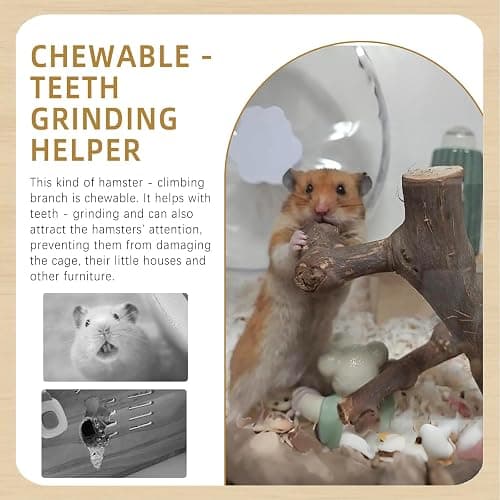 kathson 2PCS Wood Hamster Climbing Branches Decor, Natural Wooden Syrian Hamster Climb Chewing Toys, Rat Exercise Toys, Small Animal Habitat Decor Accessories for Dwarf Pets, Gerbils, Mice (5.9 in) thumbnail 7