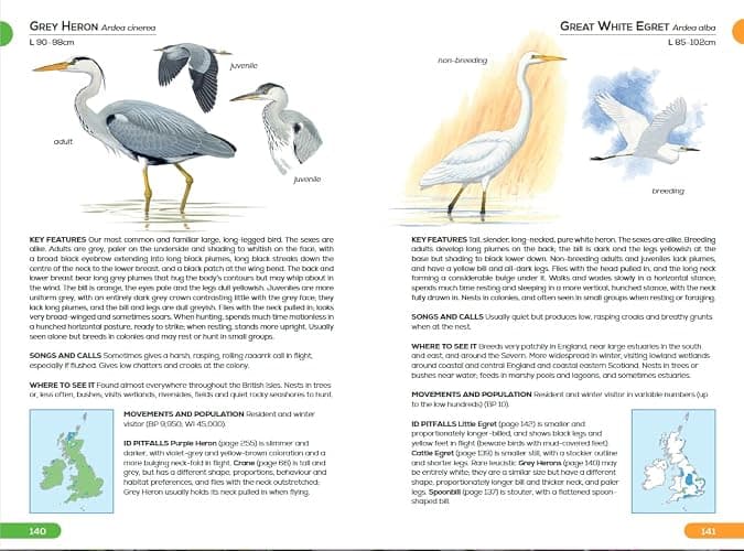 RSPB Pocket Guide to British Birds thumbnail 8