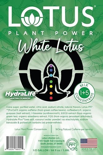 White Lotus Plant Energy Drink Concentrate | Pure Cane Sugar | 64 fl oz | 1:5 | Natural Caffeine from Green Coffee Bean thumbnail 3