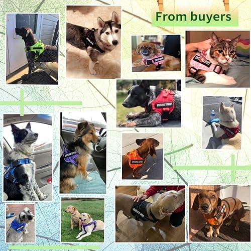 voopet Service Dog Harness, Emotional Support Pet Vest Harness, Reflective Breathable and Adjustable No-Pull ESA Dog Harness for Small Medium Large Dogs (with 4 PCS Removeable Tags) thumbnail 3