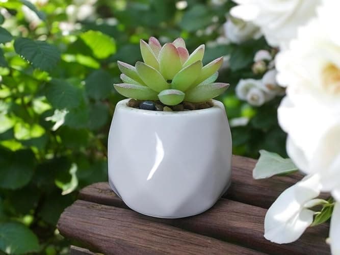 GRIFTO Fake Plants Set of 4 Artificial Plants Indoor Mini Ceramic Pot Faux Succulent Plant Foliage for Coffee Table Home Bedroom Bathroom Room Decor Shelf Office Desk Kitchen Garden Indoor Outdoor thumbnail 7