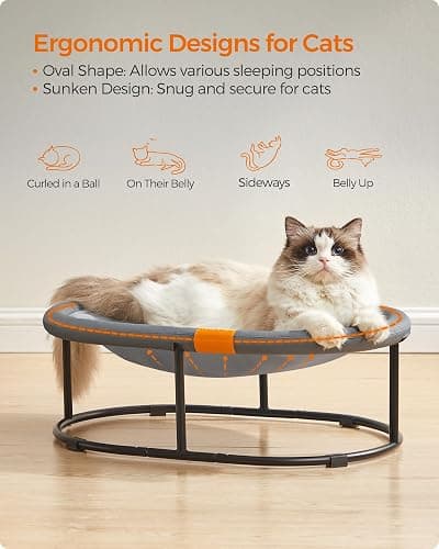 Feandrea Pet Bed, Cat Hammock, Elevated Cat Bed for Multiple Cats, with Removable Washable Mesh, for Pets up to 28 lb, Oval, Gray UPCB002G01 thumbnail 3