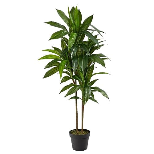 Nearly Natural 48in Dracaena Silk Plant (Real Touch) Green - Image 1