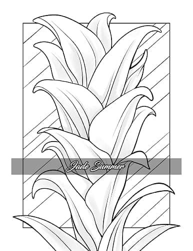 Minimalist Art: Adult Coloring Book for Women and Teens with Easy Boho Designs for Stress Relief and Relaxation (Easy Coloring Books) thumbnail 34