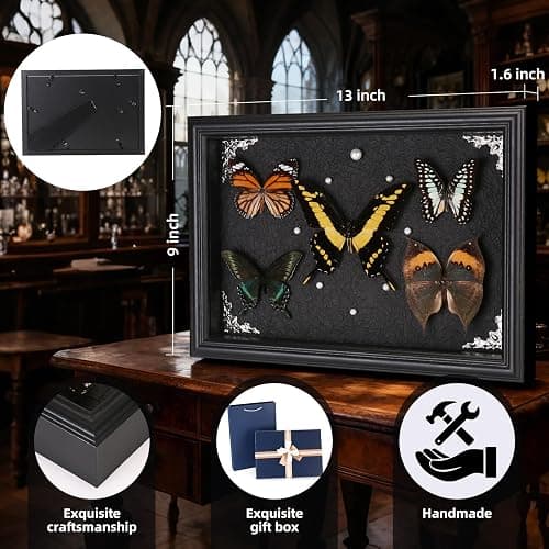 Real Framed Butterfly Taxidermy Collection - Set of 5 in Shadow Box Display, Office - Unusual Gift for Entomology Lovers, Birthday, Christmas thumbnail 3