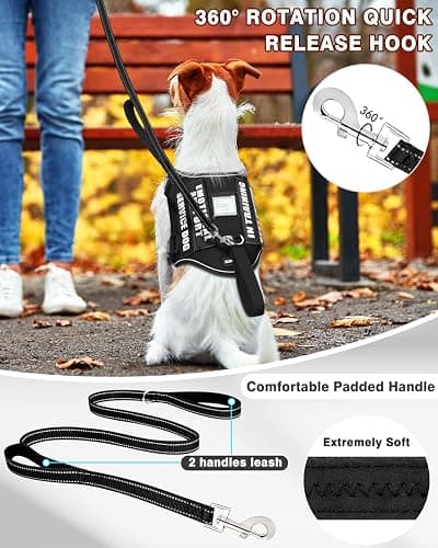 MOOGROU Service Dog Vest Harness and Leash Set+10 Patches for Puppy Small Dogs,Do Not Pet Emotional Support Dog Vest with 2 Soft Padded Handle for Everyday/Training (Black XS) | Adjustable Reflective Do Not Pet Emotional Support Dog Vest with 2 Soft Padded Handle,MOLLE,for Everyday Training Hiking thumbnail 2