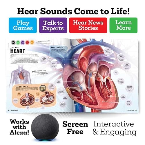 Discover: The Human Body (Ready Activated: A Readyland Alexa Interactive Book): Books You Can Talk to with Amazon Alexa and Echo by Readyland (Insiders) thumbnail 3