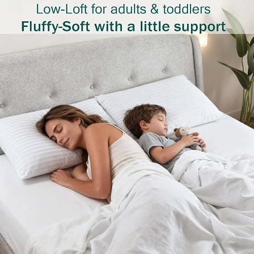 Gooeb Flat Ultra Thin Bed Pillows Standard Size Pillow Set of 2 Extra Soft Down Alternative for Stomach Back Sleeper Hotel Collection 20x26inches thumbnail 3