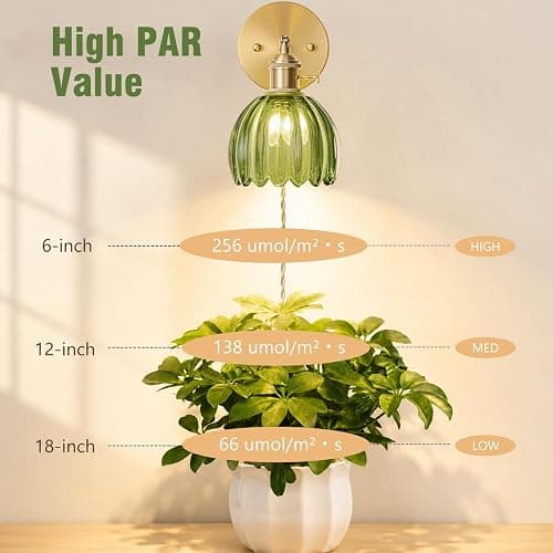 LINSEEDS Wall Mounted Grow Lights for Indoor Plants with Vintage Tulip Glass Shade, Switch and Power Cord, Decorative Hanging Plants Light for Growing thumbnail 5