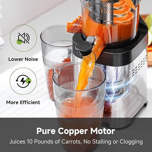 Cold press Juicer Machines with 5.2" Extra Self-Feeding for Whole Vegetable & Fruit, Juice Extractor with Large Auger & Triple Strainers, Easy to Clean, High Juice Yield, Stainless Steel Silver thumbnail 5