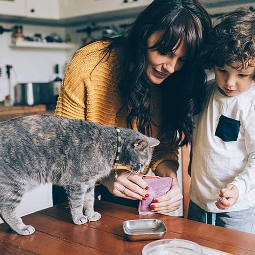 MJIYA Cat Collar with Bell, Breakaway Grid Collar with Plastic Buckle, Light Adjustable, Nylon, Kitty Collars thumbnail 7