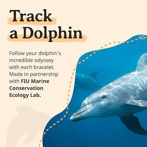 Fahlo Dolphin Tracking Bracelet, Elastic, supports FIU Marine Conservation, one size fits most for Men and Women thumbnail 6