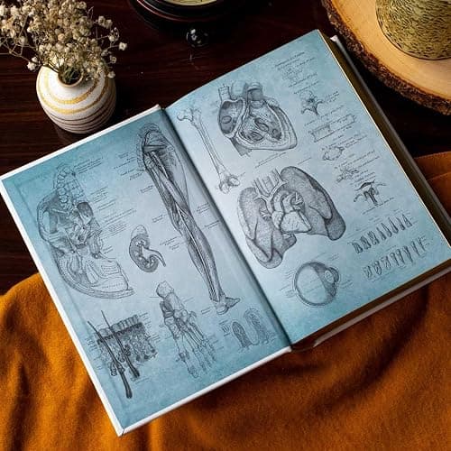 Gray's Anatomy: Anatomy Descriptive and Surgical (Leather-bound Classics) thumbnail 7