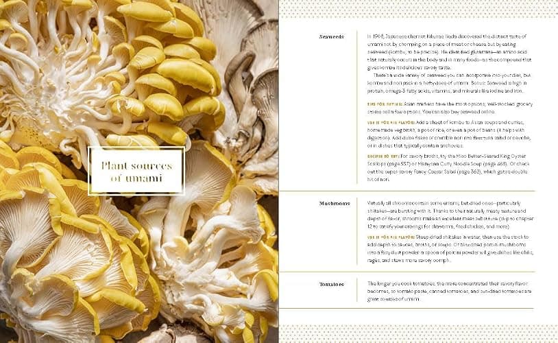 Big Vegan Flavor: Techniques and 150 Recipes to Master Vegan Cooking thumbnail 4