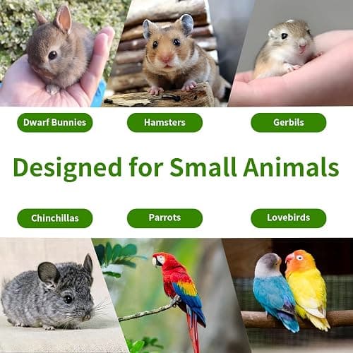 Jiaxix 30 Pcs Disposable Palm Leaf Bowls 4 inch Bowl for Rabbits, Compostable Like Bamboo Bowls Disposable Bowl Bunny Chew Toys Chewable Dish for Rabbits & Bunnies,Small Pets thumbnail 6