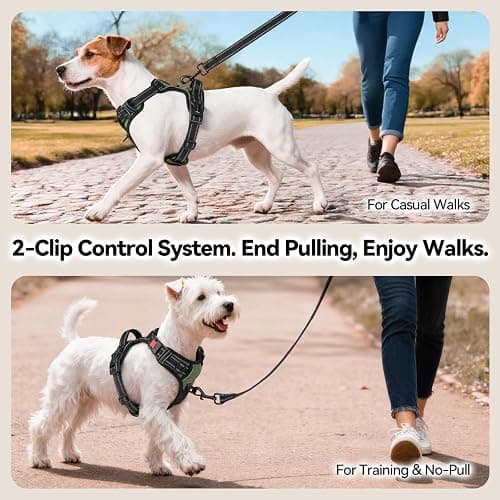 PHOEPET No Pull Dog Harness with Handle Front & Back Clip, Easy on Lockable Snap Buckle at Neck, Adjustable Reflective Vest with Handle for Small Medium Large Dogs (L, Misty Green) thumbnail 4