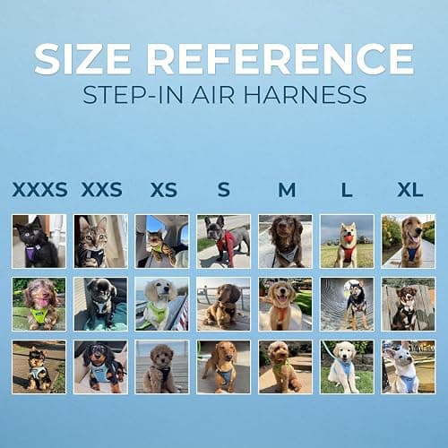 Best Pet Supplies Voyager Step-in Air All Weather Mesh Harness and Reflective Dog 5ft Leash Combo with Neoprene Handle, for Small, Medium and Large Breed Puppies - Baby Blue, XXX-Small thumbnail 6