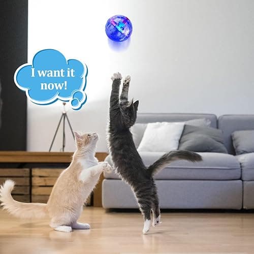 Sratte 6 Pcs Ghost Hunting Cat Ball Activated Cat Toy Motion LED Light Pet Balls Motion Dog Interactive Pet Toys Glowing Mini Running Exercise Supplies for Animals Activity (Clear) thumbnail 6