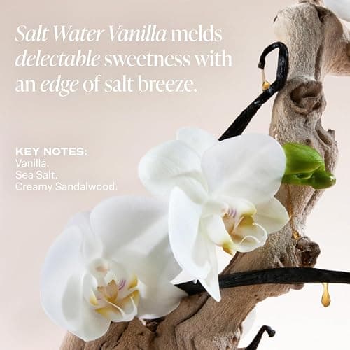 Saltair Multi-Lipid Body Butter - Rich, Nourishing Hydrating Body Cream with Ceramide Complex, Coconut Oil, Shea Butter, and Sea Buckthorn. Moisturizing Dry Skin Care. 10oz Jar - Salt Water Vanilla thumbnail 5