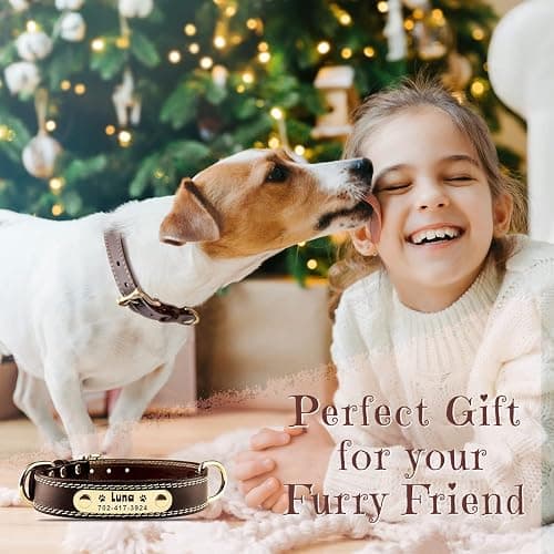 Personalized Dog Collar - Custom Leather Dog Collar with Engravable Nameplate - Durable Name Tag Collar - Customizable Dog Collar - Comfortable ID Collars for Small, Medium, Large Dogs (Small) thumbnail 3