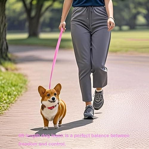 Siumouhoi 6 FT Puppy Leashes, Strong Traditional Style Leash with Easy to Use Collar Hook,Dog Lead Great for Small and Medium and Large Dog (Pink, 5/8 in x 6 ft) thumbnail 2