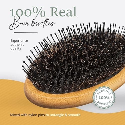 Belula Boar Bristle Hair Brush - Hair Brushes for Women & Mens Hair Brush, Detangler Brush, Hairbrush, Detangling Brush for Long, Curly or Any Type of Hair. thumbnail 7