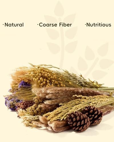 BUCATSTATE 90PCS Natural Hamster Bedding | Flowers & Herbs & Sprays for Cage Habitat Decor - Treat Cereal Grain for Dwarf Syrian Gerbils, Mice, Rat, Forage, Enrichment. thumbnail 6