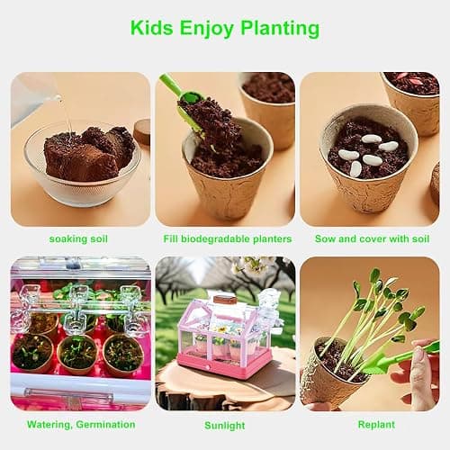 EXBEPE Kids Plant Growing Kit Greenhouse Growing Set Terrarium Kit Kids Science Educational DIY Plant Gardening Toy, Living Greenhouse with Solar Panel, Indoor Gardening Kit thumbnail 7