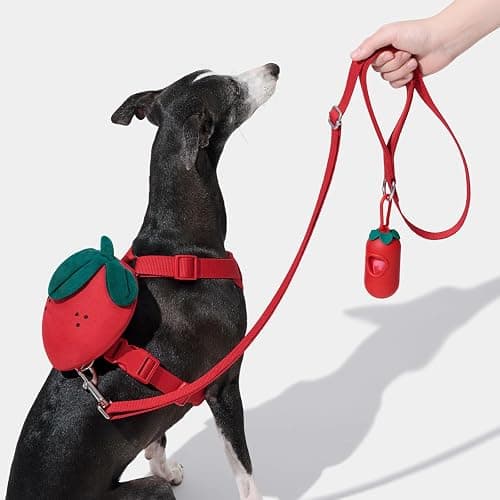 VETRESKA Strawberry Dog Harness and Leash Set, No Pull Dog Vest Harness for Small Dogs Cats, Walking and Training, Adjustable, Easy Control and Soft Padded Pet Harness and Backpack (XS) thumbnail 7