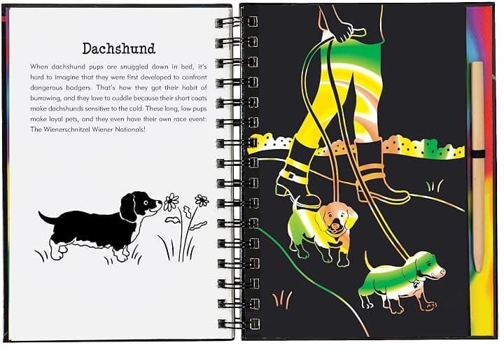 Scratch & Sketch Puppies (Trace Along) thumbnail 4