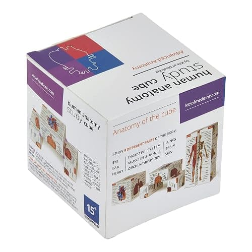 Human Anatomy Study Cube | Study 9 Parts of The Human Body | Perfect Anatomy Revision Guide | Addictive Anatomy Model Cube | Great Gift for Nurse, Dentist, Medical Students thumbnail 7