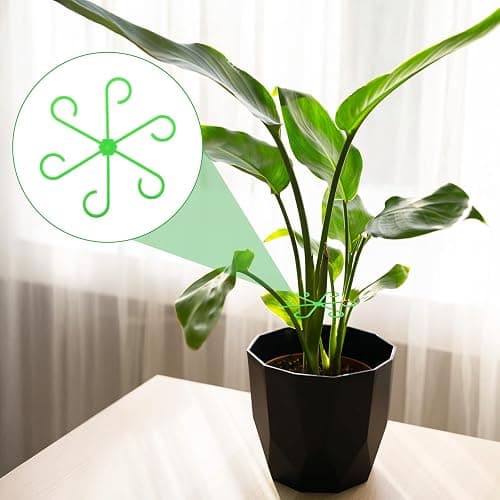 Qianyu 20pcs Climbing Cage Houseplant Stem Supports Plant Climbers Holders Reusable Plastic Flower Stakes Trellis Stem Hook Growth Accessories for Garden Thriving Growth (4 Sizes) thumbnail 7