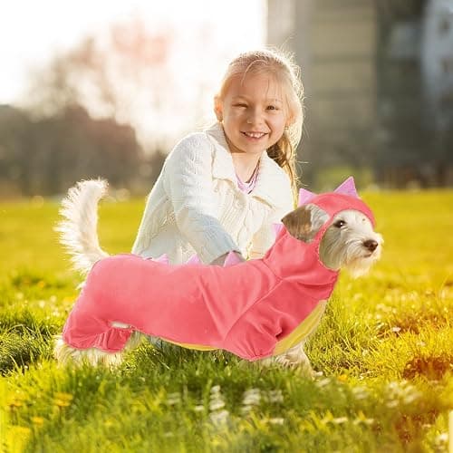 Hotumn Dinosaur Dog Halloween Costume Pet Dino Hoodie for Small Dogs (Small, Pink) thumbnail 6