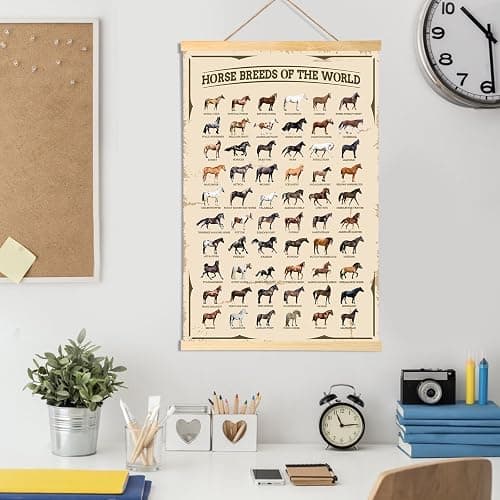 EIHFHIE Horse Gifts for Girls Horse Poster Horse Knowledge Horse Breeds of The World Poster Horse Pictures Wall Decor Gifts for Horse Lovers 16x25 In thumbnail 2