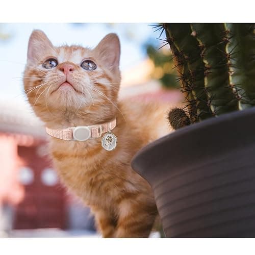 Breakaway cat collar two pack pink and blue thumbnail 8