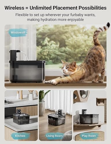 DownyPaws 2.5L Trinkbrunnen für Katze Kabellos, Katzenbrunnen Kabellos mit Bewegungsmelder und Batteriebetrieben, 4000mAh, Leise Wasserpumpe, Tablett aus Edelstahl für Katze, Schwarz mit 6 Filters thumbnail 3