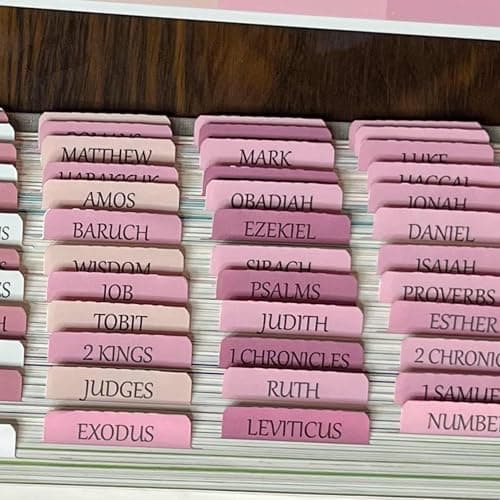 Catholic Bible Tabs, Reposition Laminated Stickers, Easy to Read and Apply Bible Tabs for Women and Man (Catholic Pink) thumbnail 2