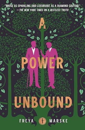 The Last Binding Seires. 3 Books Collection Set. A Marvellous Light, A Restless Truth, A Power Unbound by Freya Marske thumbnail 4