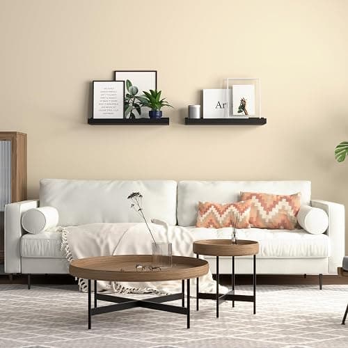 Boswillon Floating Shelves Wall Mounted Set of 2, Modern Black Wall Shelves for Storage with Lip, Display Picture Ledge Shelf for Wall Decor Bedroom Living Room Bathroom Kitchen thumbnail 5