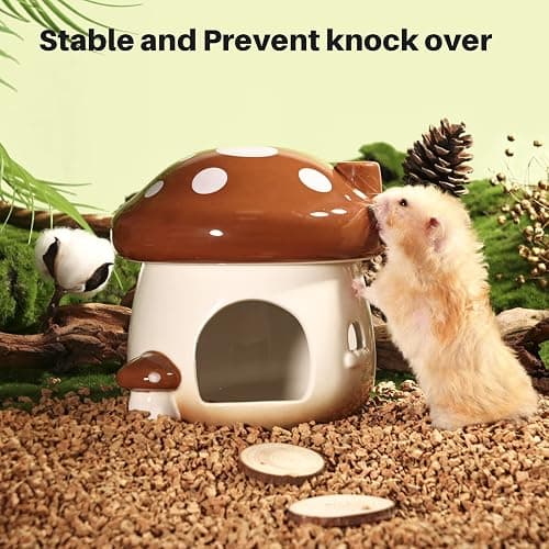BUCATSTATE Hamster Hideout Ceramic, Mushroom Shape Hamster House and Habitats Ideal for Dwarf Hamsters, Gerbils, Mice, Syrian Hamsters, Chipmunk or Other Small Pets (Brown-Large) thumbnail 6