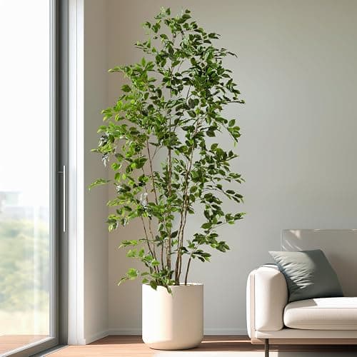 Bailikang Artificial Ficus Tree Indoor 8ft, Large Potted Faux Tree with Realistic Silk Leaves & Trunk for Home Office, Living Room Corner Decor thumbnail 5