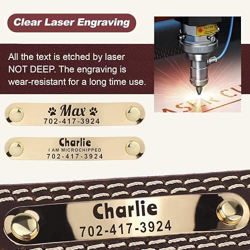 Personalized Dog Collar - Custom Leather Dog Collar with Engravable Nameplate - Durable Name Tag Collar - Customizable Dog Collar - Comfortable ID Collars for Small, Medium, Large Dogs (Small) thumbnail 4