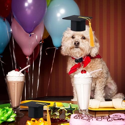 Cat Graduation Caps thumbnail 6